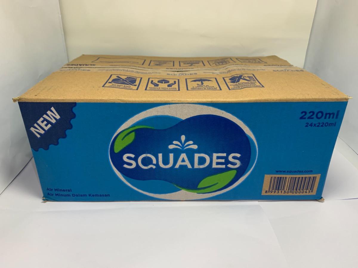 SQUADES MINI BOTOL 24X220ML