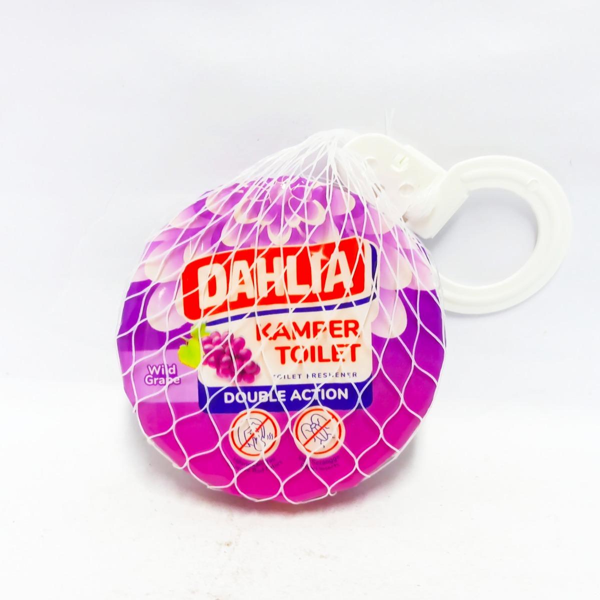 DAHLIA FRUITY GTG GRAPE K24/SG